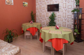 V Aleksino Guest house